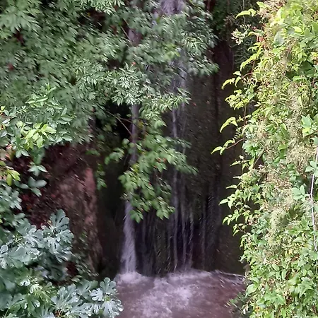 Сasa de vacaciones Casa Del Codirosso