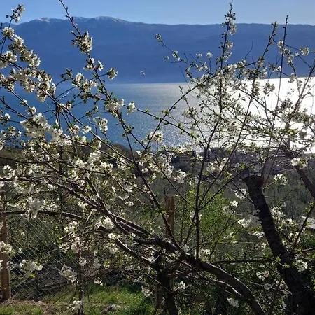 Casa Del Codirosso Casa vacanze Gargnano