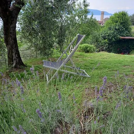 Casa Del Codirosso Feriehus Gargnano